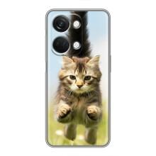 Чехлы с Котиками для OnePlus Nord 3 5G (VPrint) (Прыжок кота)