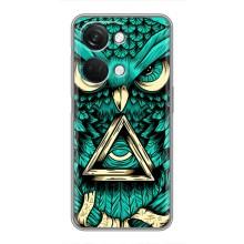 Чохол з пташками на OnePlus Nord 3 5G (VPrint) – Сова з оком