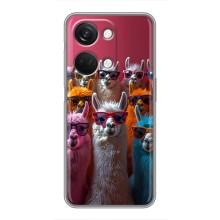 Чохол з принтом стильні тварини для OnePlus Норд 3 5G (Лами в окулярах)
