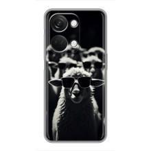 Чохол з принтом стильні тварини для OnePlus Норд 3 5G (Овечка в окулярах)