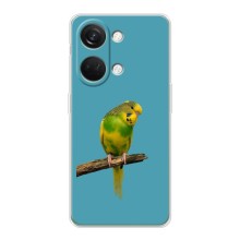 Силиконовый чехол с птичкой на OnePlus Nord 3 5G – Попугайчик