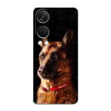 Чехлы с картинками животных OnePlus Nord 4 (Овчарка)