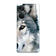 Чехлы с картинками животных OnePlus Nord 4 (Волк)