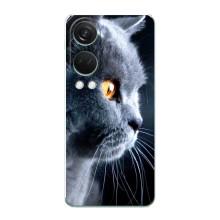 Чехлы с Котиками для OnePlus Nord 4 (VPrint) (Серый Кот)