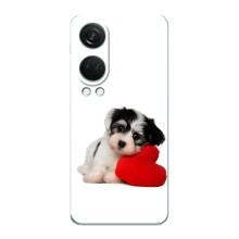 Чехлы с собаками для OnePlus Nord 4 (VPrint) (Песик)