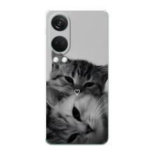 Чехол с рисунком кот на OnePlus Nord 4 – Пара котов