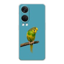 Силіконовий бампер з птичкою на OnePlus Nord 4 – Попугайчик