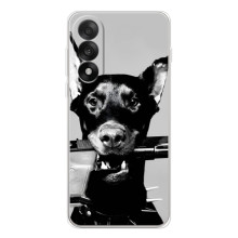 Чехол ДОБЕРМАН для OnePlus Nord 5 – Опасный доберман