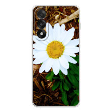 Чехол с ромашками на OnePlus Nord 5 – Белая ромашка