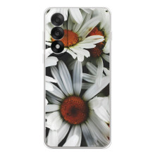 Чехол с ромашками на OnePlus Nord 5 – Цветы Ромашки