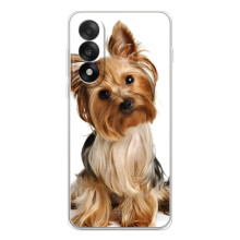 Чехол (ТПУ) Милые собачки для OnePlus Nord 5 – Собака Терьер