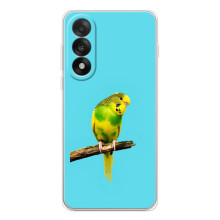 Силиконовый чехол с птичкой на OnePlus Nord 5 – Попугайчик