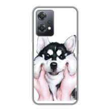 Чехлы с собаками для OnePlus Nord CE 2 (5G) (IV2201) (VPrint) (Довольный Хаски)