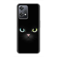 Чехол на тематику: Коты для OnePlus Nord CE 2 (5G) (IV2201) – Черный Котик