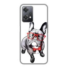 Бампер для OnePlus Nord CE 2 (5G) (IV2201) з картинкою "Песики" (В окулярах)