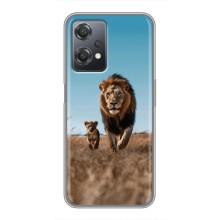Чохол Король лев на ВанПлас Норд СЕ 2 (5Г) (IV2201) (Мусафа і Сімба)