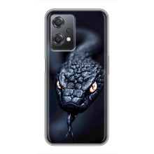Чохол з картинкою 'Хижаки' для OnePlus Nord CE 2 (5G) (IV2201) – Змія