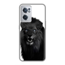 Чохли з картинкою животних OnePlus Nord CE 2 Lite 5G