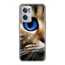 Чехлы с Котиками для OnePlus Nord CE 2 Lite 5G (VPrint) (Глаз кота)