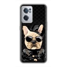 Чохли з крутими принтами для OnePlus Nord CE 2 Lite 5G - (PREMIUMPrint) (Стильна собака)