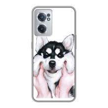 Чохли з собаками для OnePlus Nord CE 2 Lite 5G (VPrint) – Радісний Хаскі