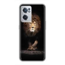 Чохол з картинкою ЛЕВ для OnePlus Nord CE 2 Lite 5G (VPrint) (Лев)