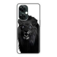 Чехлы с картинками животных OnePlus Nord CE 3 Lite