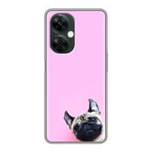 Чохли з собаками для OnePlus Nord CE 3 Lite (VPrint) (Смішна собака)