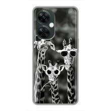 Силиконовый чехол с КАРТИНКАМИ лето для OnePlus Nord CE 3 Lite (AlphaPrint) – Жирафы в очках