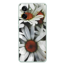 Чохол з ромашками на OnePlus Nord CE 5 – Квіти Ромашки