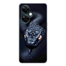 Чохол з картинкою 'Хижаки' для OnePlus Nord CE 5 – Змія