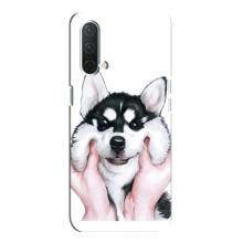 Чехлы с собаками для OnePlus Nord CE 5G (VPrint) (Довольный Хаски)
