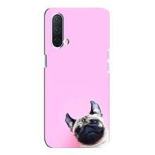 Чехлы с собаками для OnePlus Nord CE 5G (VPrint) (Смешная собака)