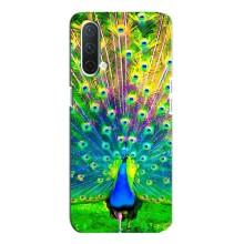 Чохол з пташками на OnePlus Nord CE 5G (VPrint) (Яскравий Павлин)