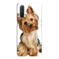 Чехол (ТПУ) Милые собачки для OnePlus Nord CE 5G (Собака Терьер)