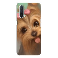 Чехол (ТПУ) Милые собачки для OnePlus Nord CE 5G (Йоршенский терьер)