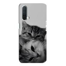 Чехол с рисунком кот на OnePlus Nord CE 5G – Пара котов