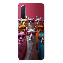 Чохол з принтом стильні тварини для OnePlus Норд CE 5G – Лами в окулярах