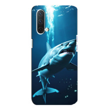 Чехол с картинкой «Хищники» для OnePlus Nord CE 5G – Акула