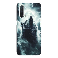 Чехол с картинкой «Хищники» для OnePlus Nord CE 5G