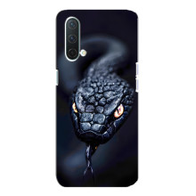 Чехол с картинкой «Хищники» для OnePlus Nord CE 5G – Змея