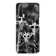 Силіконовий чохол з КАРТИНКАМИ літо для OnePlus Nord CE 5G (AlphaPrint) (Жирафи в окулярах)