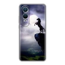 Чохли з зображенням різних тварин на OnePlus Nord CE4 Lite (Кінь)