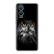 Чохли з принтом СОВИ для OnePlus Nord CE4 Lite – Сова на чорному