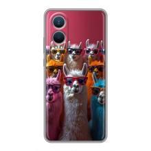 Чохол з принтом стильні тварини для ВанПлас Норд СЕ4 Лайт (Лами в окулярах)