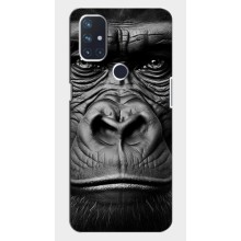 Чехлы с Горилой на ВанПлас Норд Н10 (5G) – Черная обезьяна