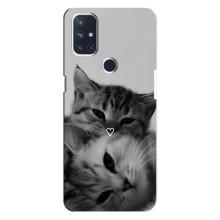 Чехол с рисунком кот на OnePlus Nord N10 5G – Пара котов