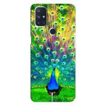 Чехол с птицами на OnePlus Nord N100 (VPrint) (Яркий Павлин)