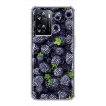 Чехлы с Фруктами для OnePlus Nord N20 SE (VPrint) (Ежевика)