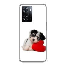 Чохли з собаками для OnePlus Nord N20 SE (VPrint) (Песик)